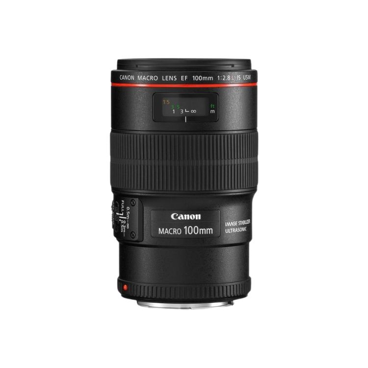 Canon EF 100mm f/2.8 Macro USM